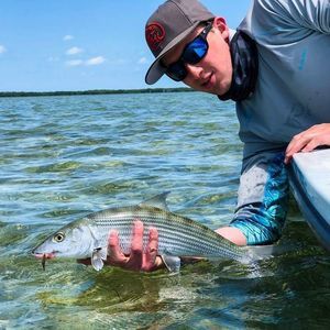 Meet your Posher, Jonathan